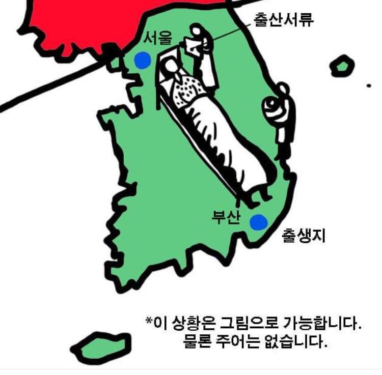 나베 출산.jpg